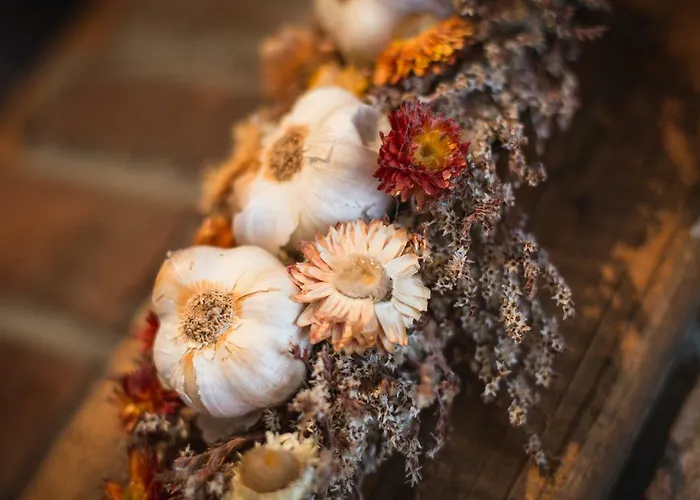 アルトヴェルニガーウーダ アパートホテル